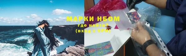 крисы Ростов