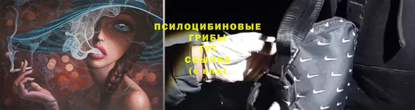 Альфа ПВП Медвежьегорск