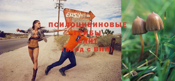 Альфа ПВП Медвежьегорск