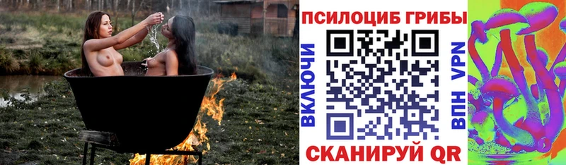 darknet клад  Тайшет  Псилоцибиновые грибы Magic Shrooms 