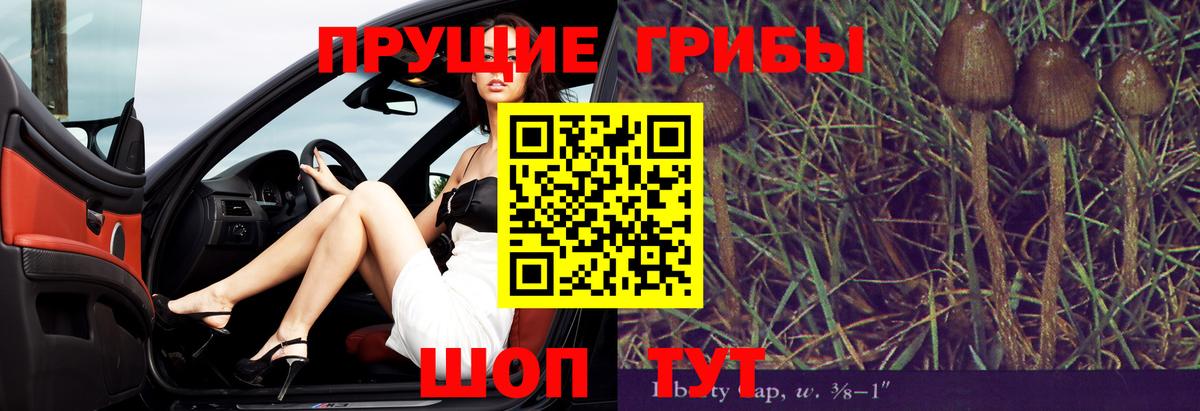 Тайшет  Псилоцибиновые грибы мицелий  Вход с VPN 