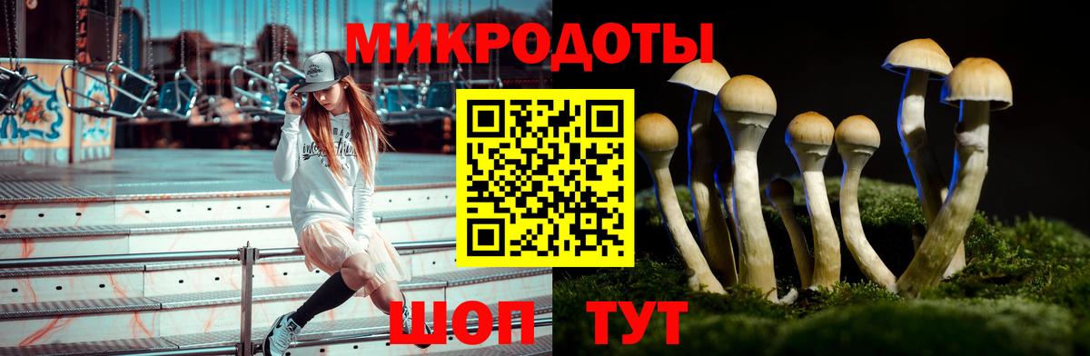 Псилоцибиновые грибы мицелий Тайшет