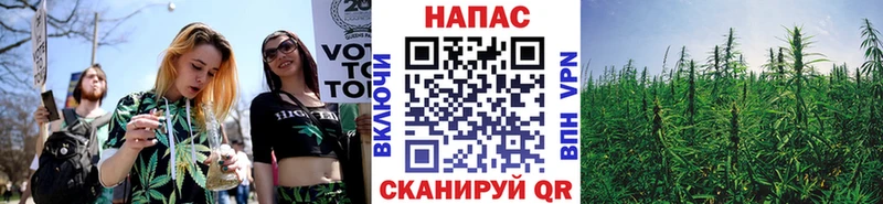 купить наркотики сайты  Тайшет  Канабис конопля 